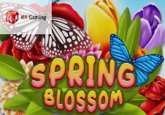 Spring Blossom